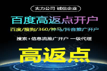 某品牌通过百度广告实现快速增长的案例